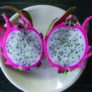 Gold Dragon Fruit