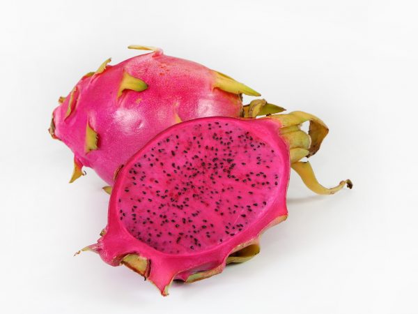 Ongelofelijk Knorrig leerplan Purple Dragon Fruit Cuttings - For sale | Dragon Fruit Cutting