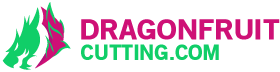 DragonFruitCutting.com